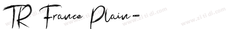 TR France Plain字体转换